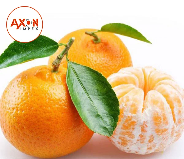
Sweet Fresh mandarin orange/Fresh Orange,Naval Orange,Valencia Oranges/Fresh Oranges 
