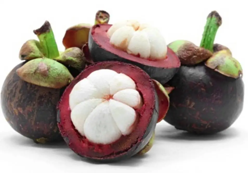 Свежий мангостин из Таиланда