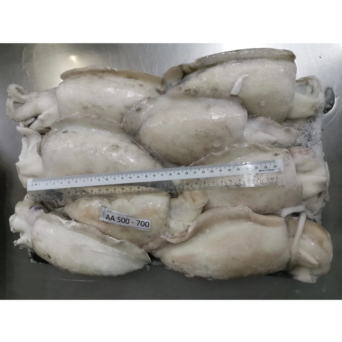 Malaysia Good Quality Frozen Whole Round Fresh Cuttlefish With Block Freezing No Soaking