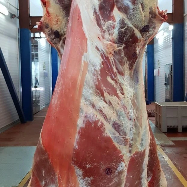 Halal Buffalo Boneless Meat/ Frozen Beef Frozen Beef ,cow meat,Goat beef meat for sale