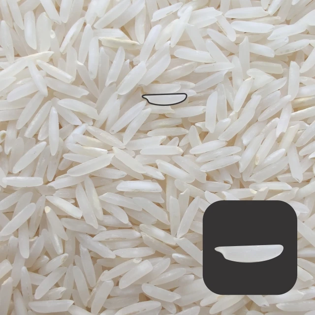 
basmati rice 