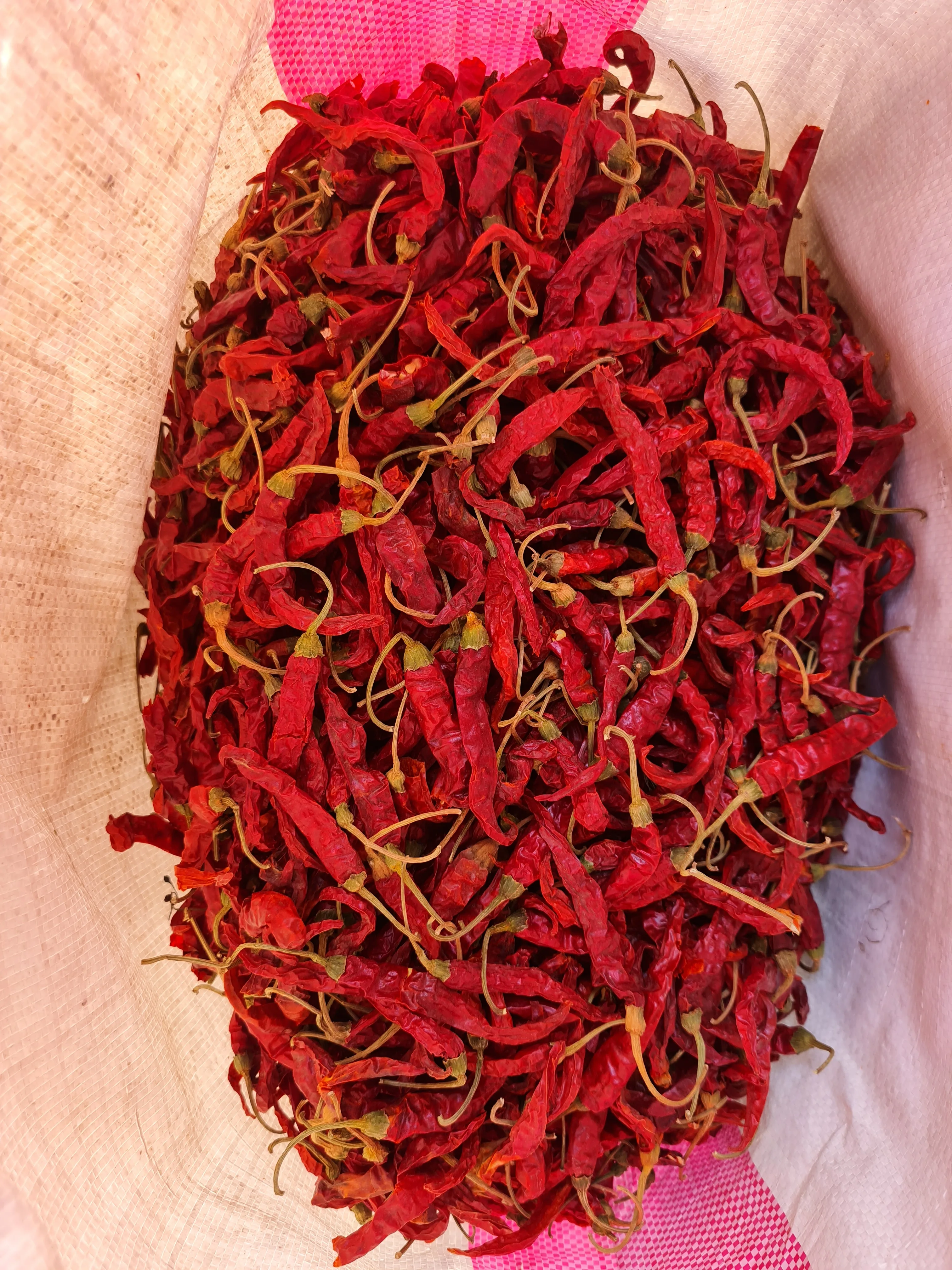 Egyptian chili pepper high quality first degree very hot chili pepper dried