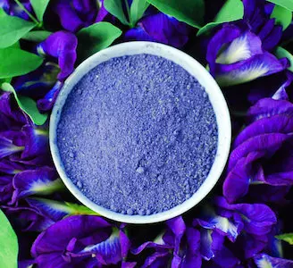 Private Label OEM Organic Butterfly Pea Flower Tea Powder Fine Ground Bulk Product of Thailand