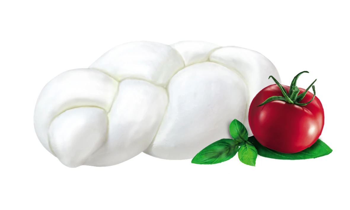High quality Italian fresh cheese Mozzarella di Bufala Campana PDO bucket Treccia 250g