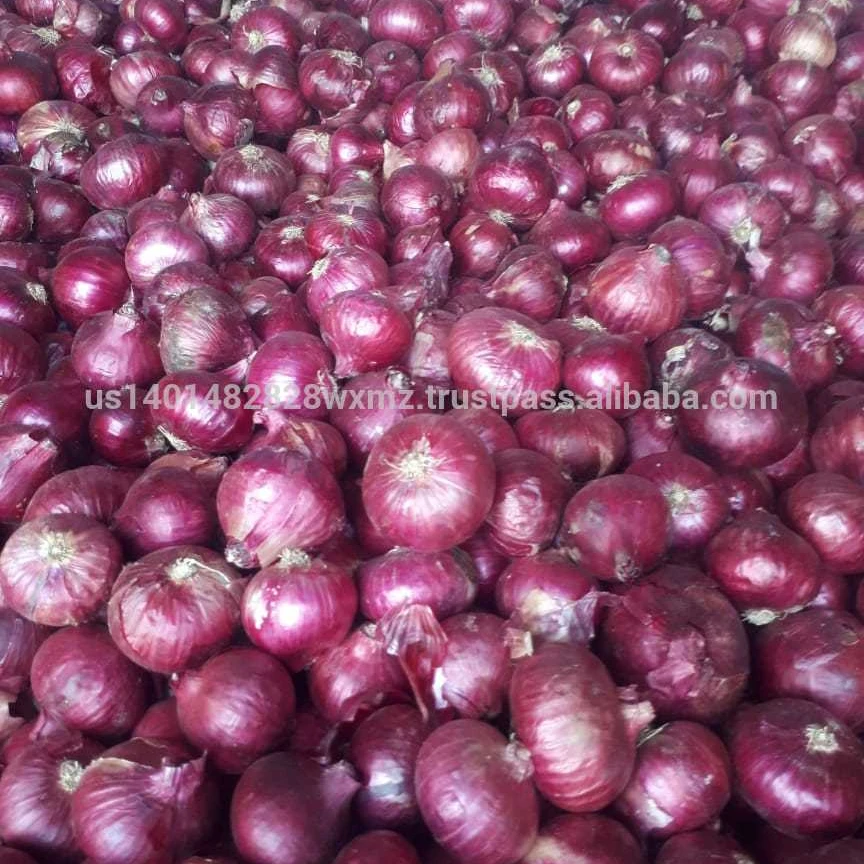 
MANUAL FARM QUIPMENTS FOR FARMERS ONION SEEDS PLANT CUTTER MACHINE 