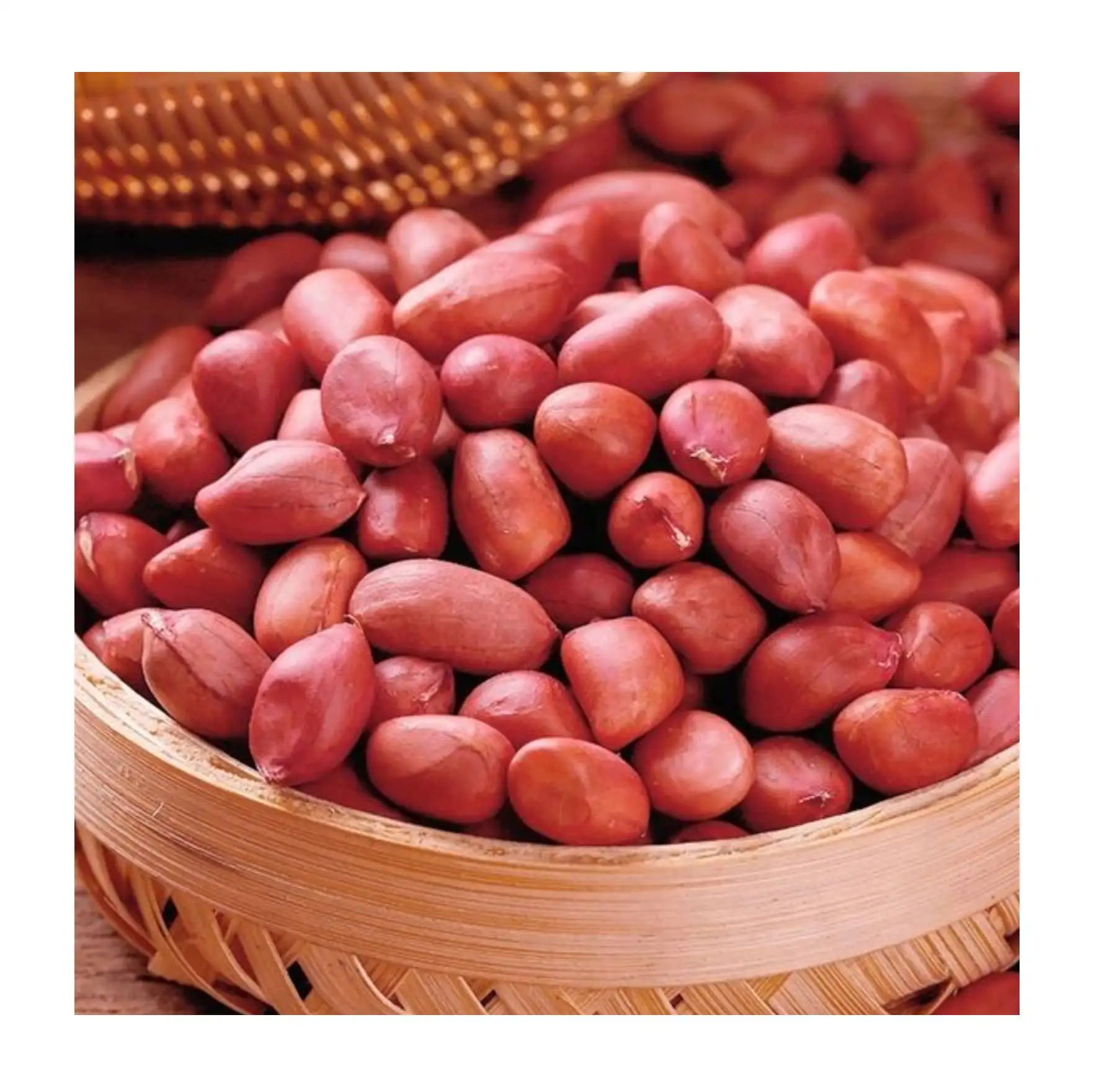 Raw peanut kernels agricultural exporter