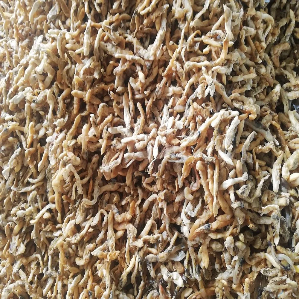 
DRIED RAZOR CLAM FROM VIETNAM - 100% NATURAL 