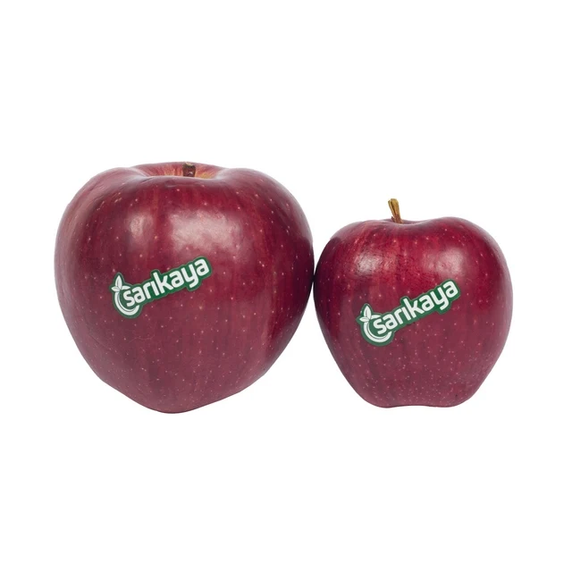 
Fresh Red Apple Delicious New Harvest Excellent Best Price Quality 