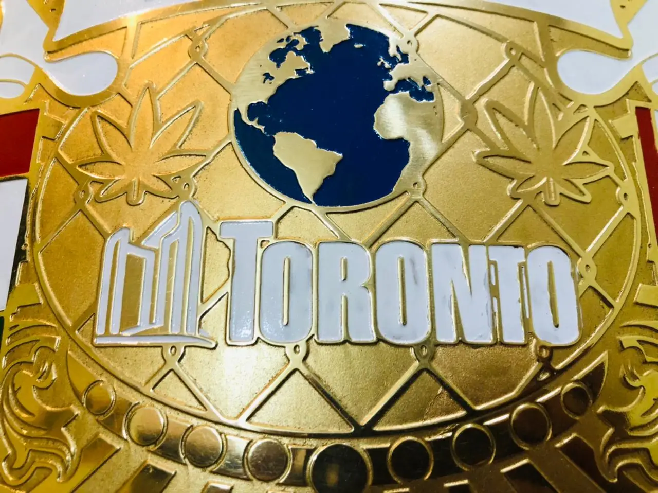 MMA fighting championship belt Personal choice custom championship belt 2mm 4mm 6mm Championship Belt martial arts