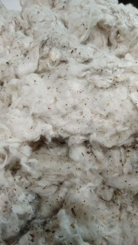 LYCRINE COTTON WASTE COTTON WASTE RAW COTTON WASTE