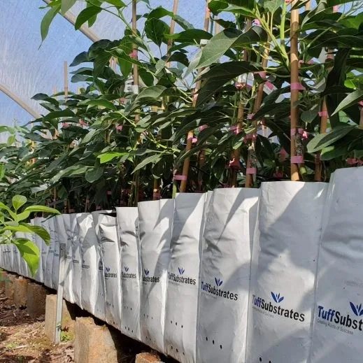 Cocopeat с открытым верхом чип Coco Coir органический низкий EC мытый от Tuff вьетнамский производитель