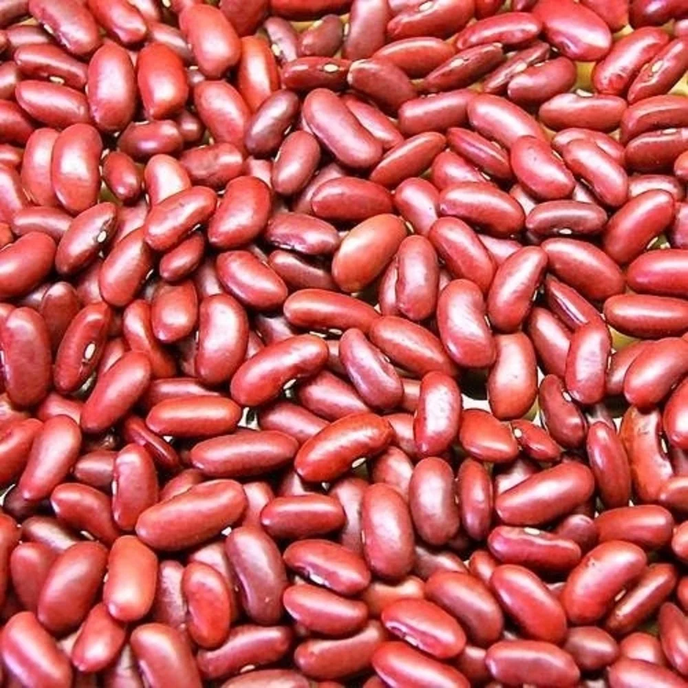 Wholesale Pinto Red Beans Speckled Kidney Beans