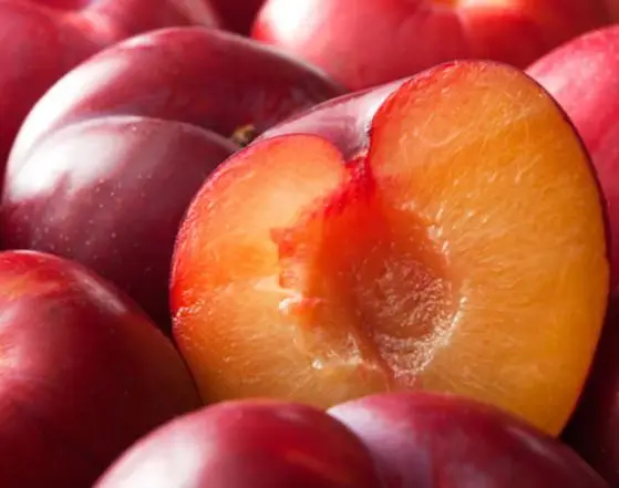 Оптовая продажа лучшее качество свежая слива для продажи по низкой