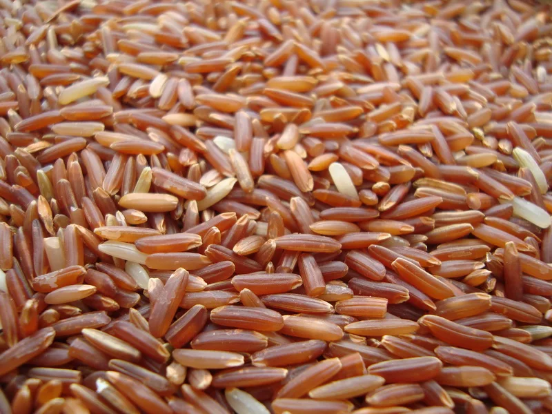 
Thailand Jasmine Red Rice 