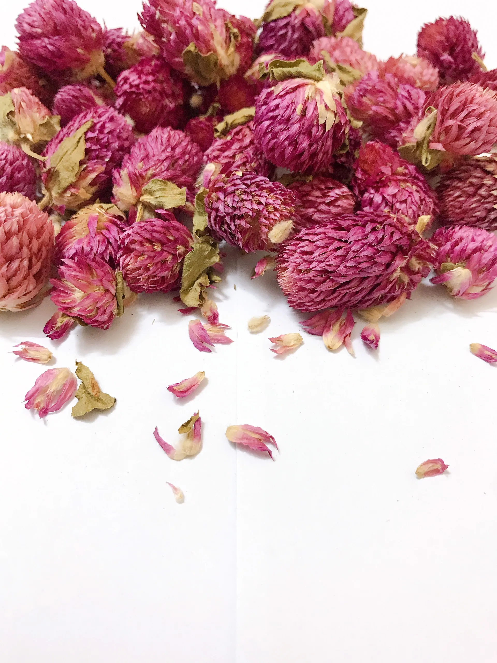 
Herbal Slimming /Health Tea Dired Gomphrena Globosa L/Globe Amaranth Flower Tea W/A contact : +84 90 335 4981 ( Kim ) 