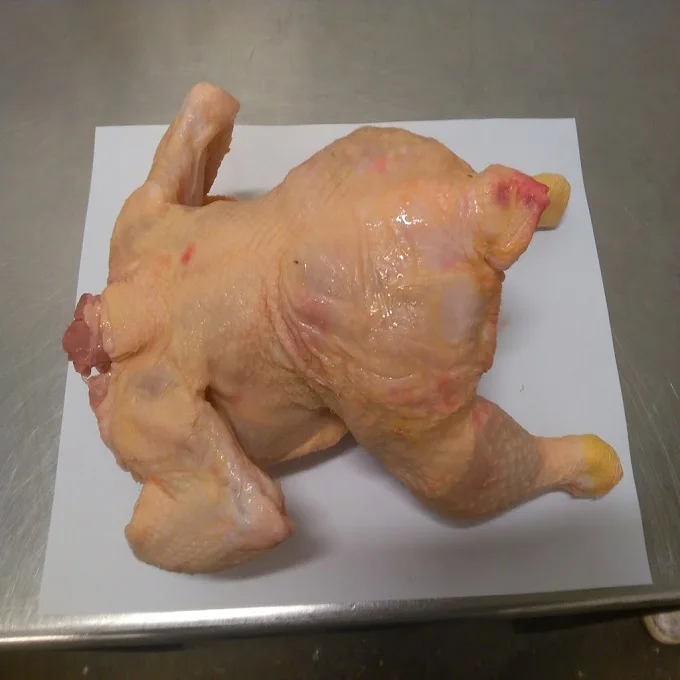 Best Offer Frozen Whole Chicken