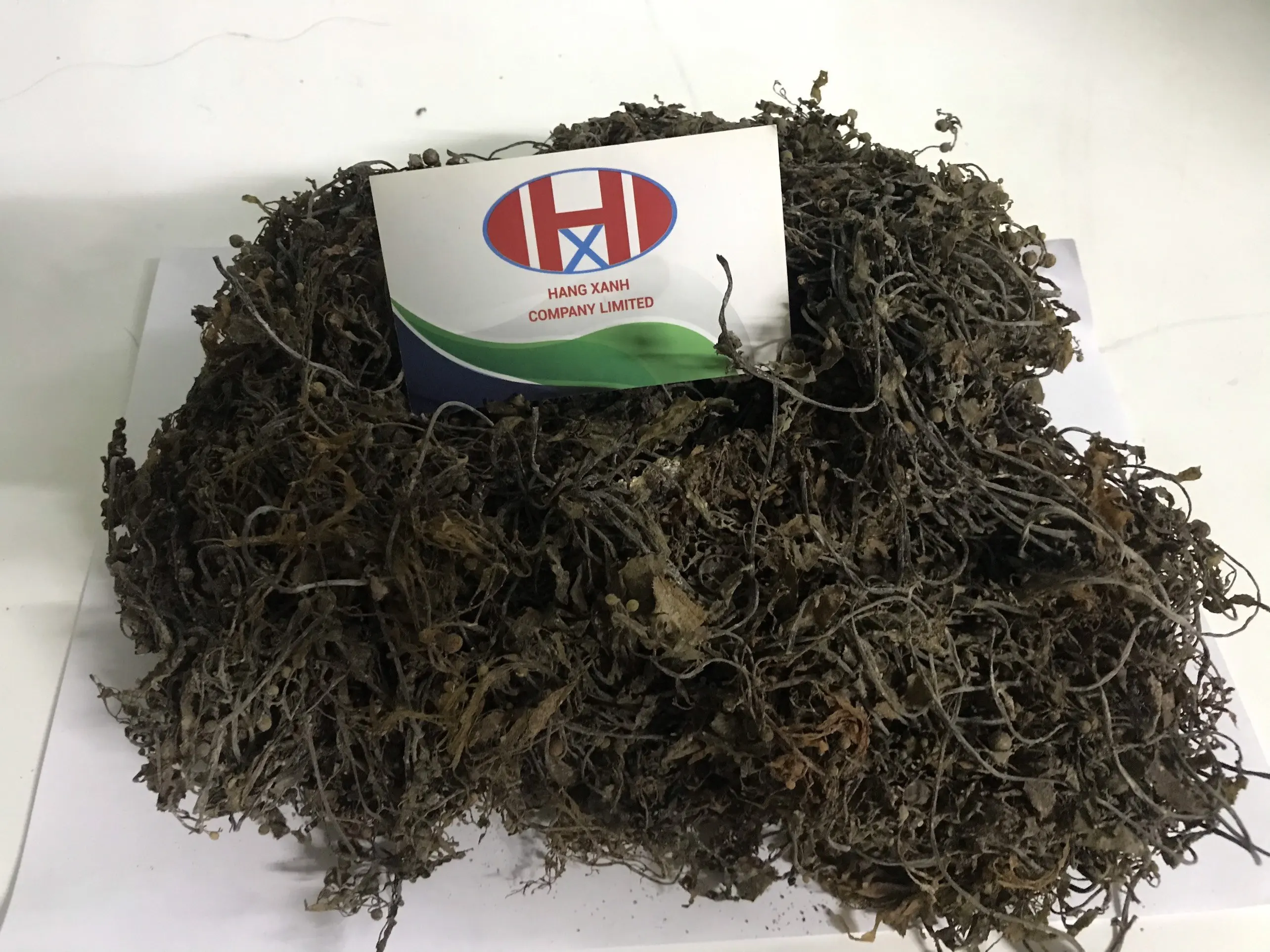 Высококачественные сушеные саргассум водоросли/сушеные по лучшей цене МИСС Эллен + 84383874313