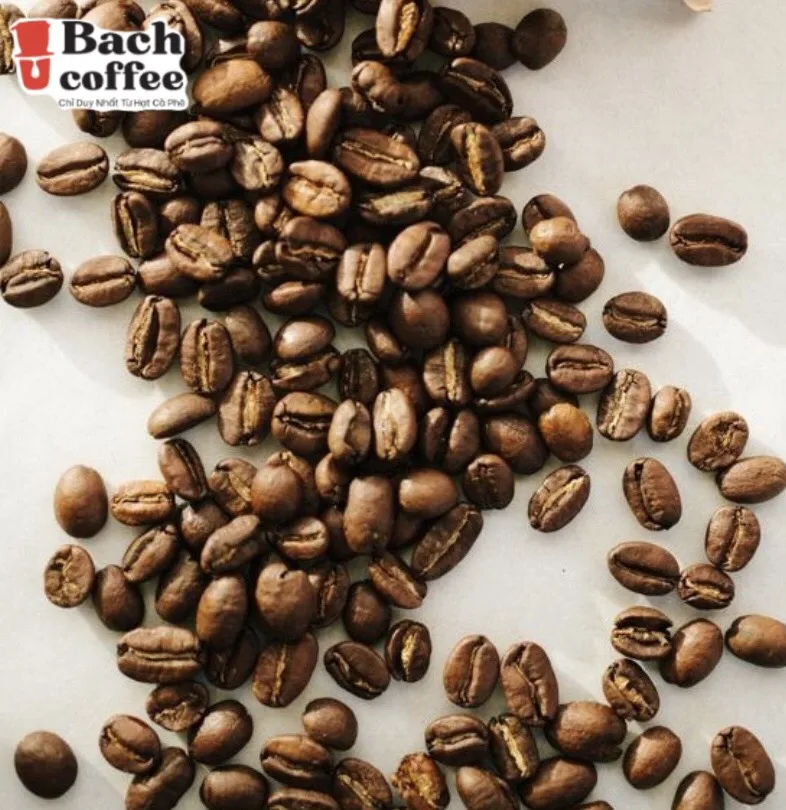 100% Высококачественный Изысканный кофе Арабика из Cau Dat Lam Dong vietnam крупнейший выращиватель кофе-жирная насыщенная смесь