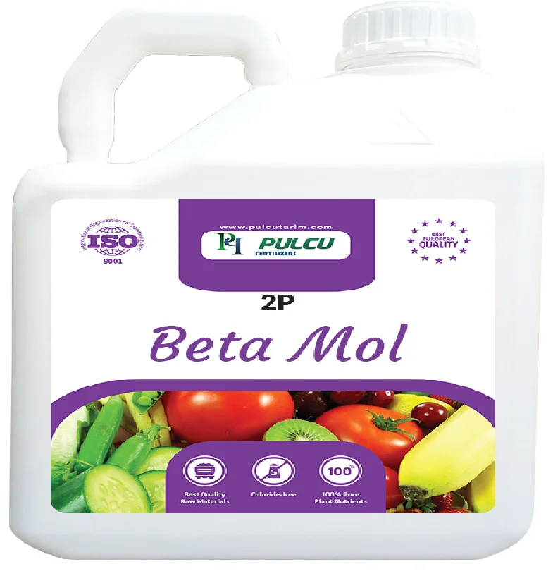 Glycine Betaine and Molybdenum for Plants