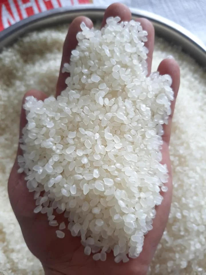 Японский рис для суши с 3% сломанным белым рисом класса AAA- Whatsapp 0084 989 322 607