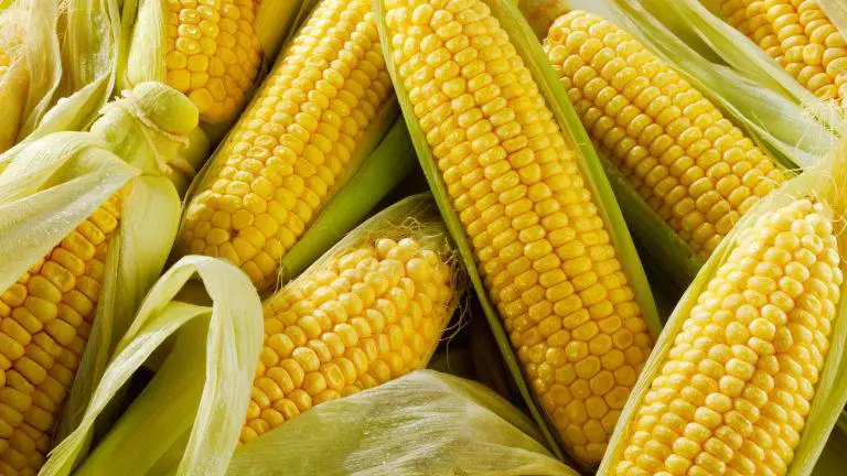  Замороженная кукуруза оптовая продажа IQF смешанные овощи замороженные замороженная морковка замороженный