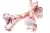 Very strong frozen Beef Femur Bones/ Beef Knee Bones/ Beef Neck Bones Frozen