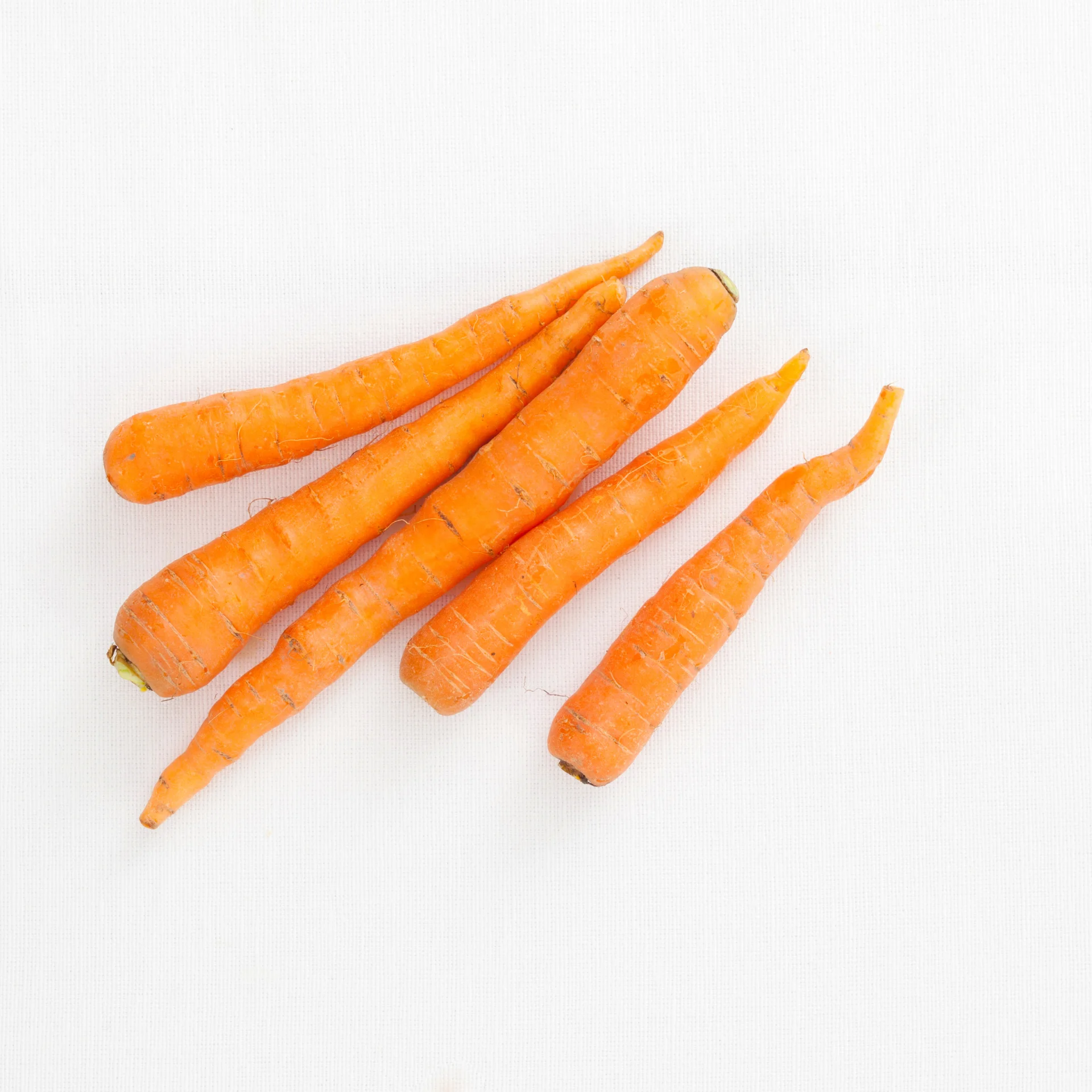 Детская морковка-высокое качество