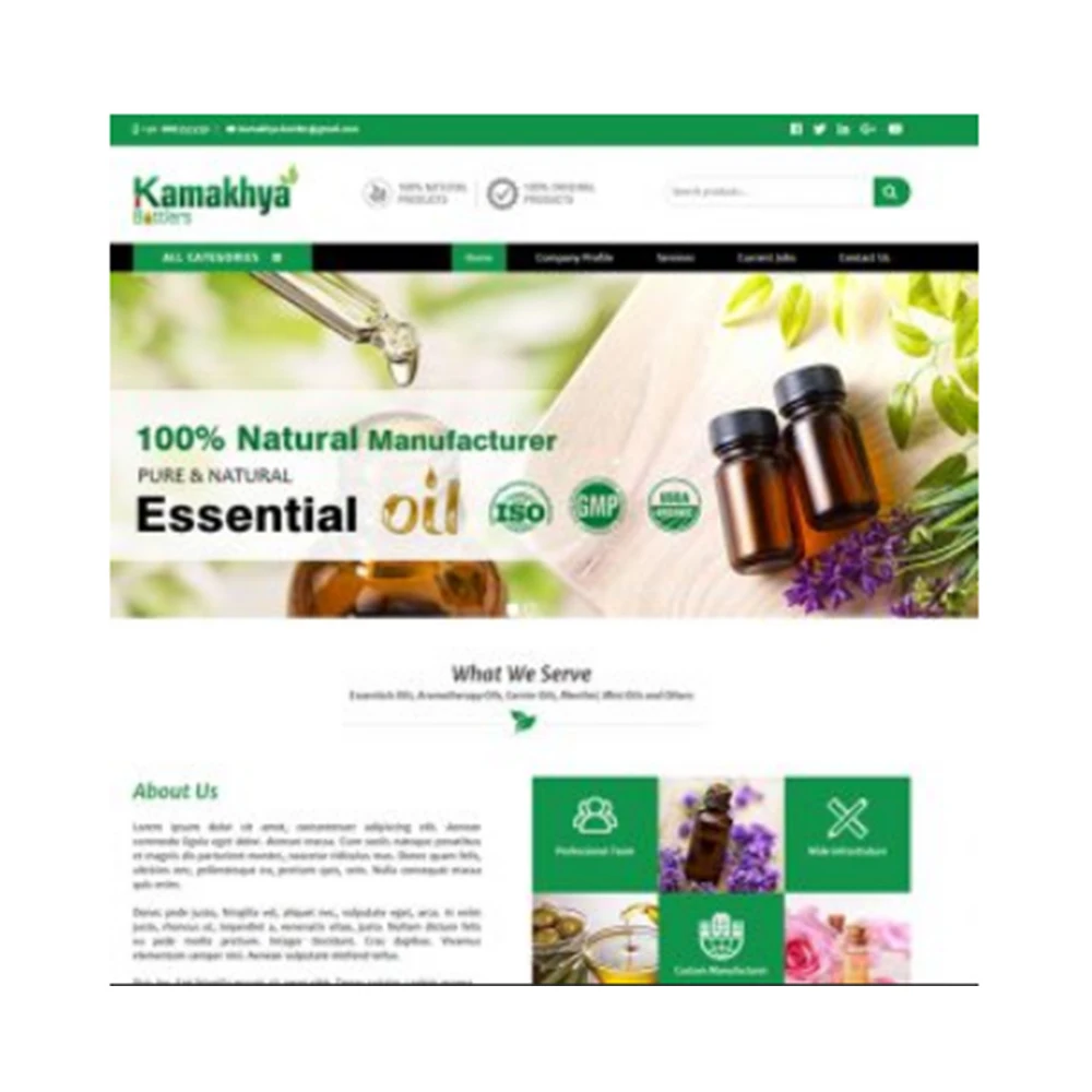 
Website Designing Services & Web Development Company India, Web Design Agency Event Website Design 