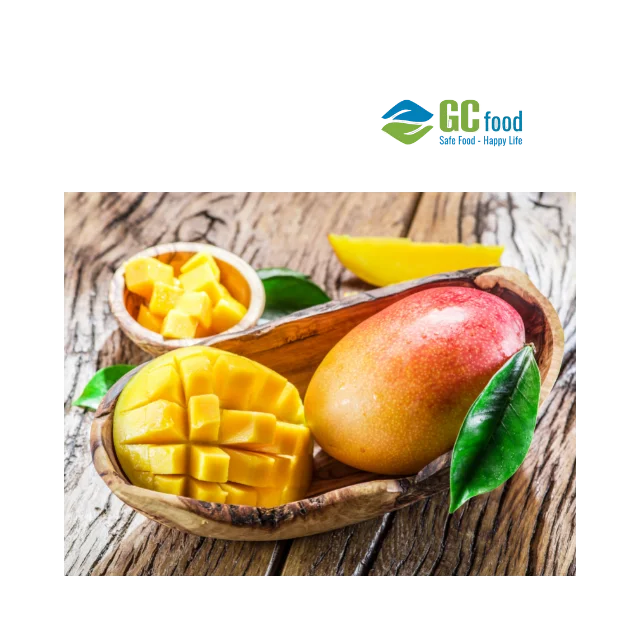 (GC Food) Frozen Mango juice - Viet Nam High Quality Frozen Juice Healthy