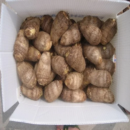 
Fresh quality taro , fresh eddo good price for exporting 