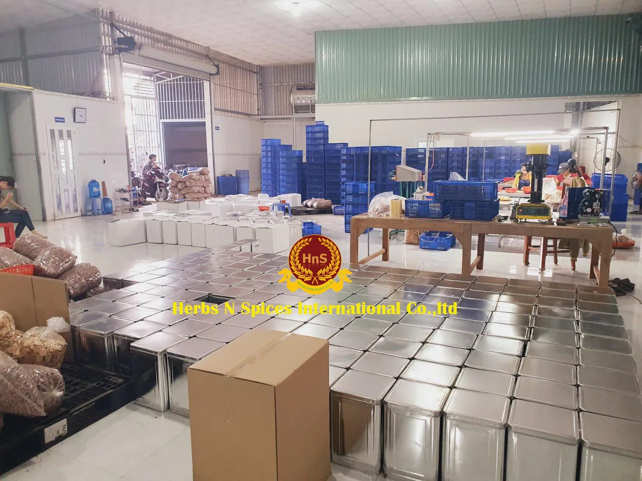 
Hight Quality Roasted Cashew Nut A240 Viet Nam 