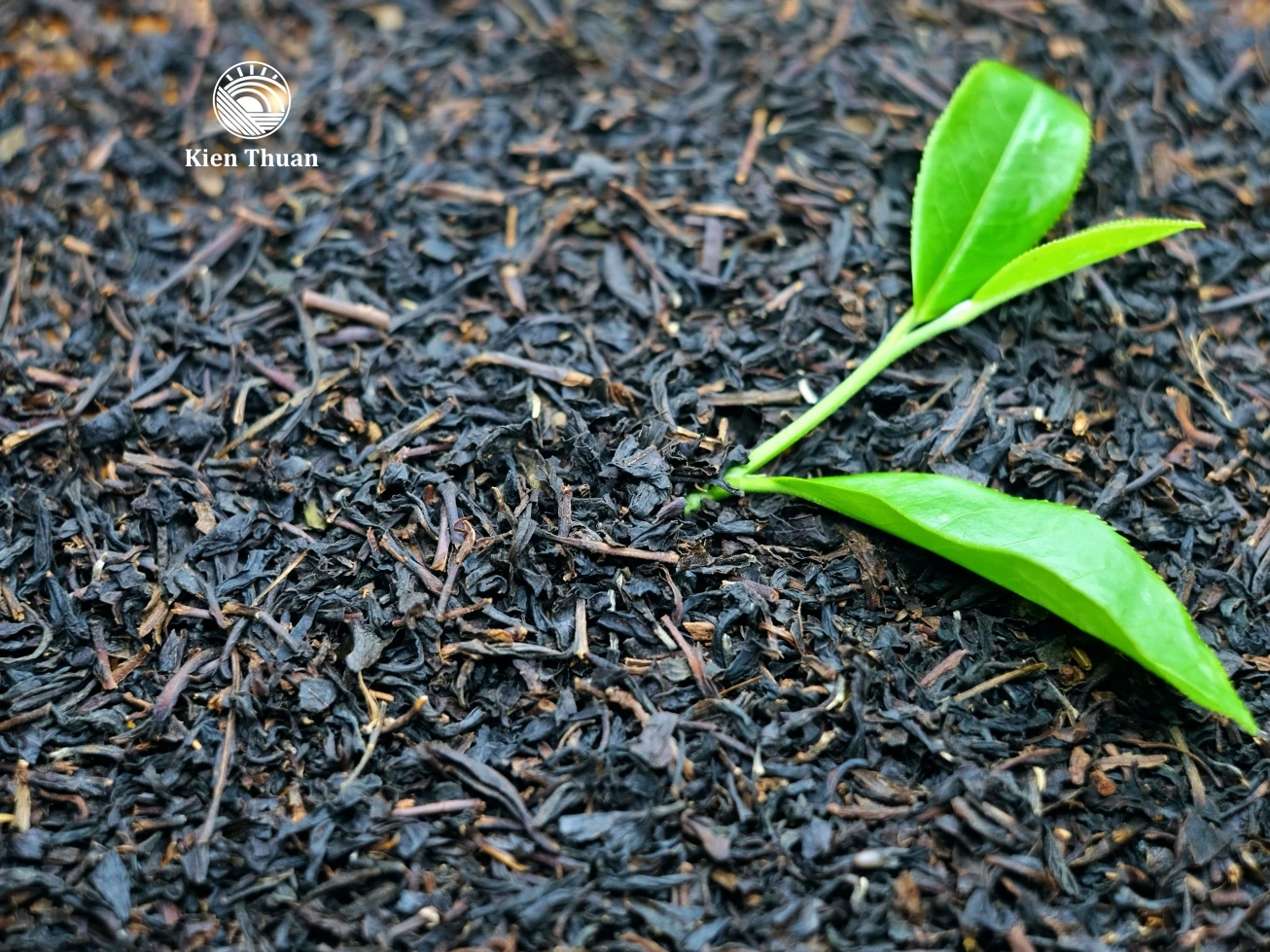 
Cheap black tea OP from Vietnam 