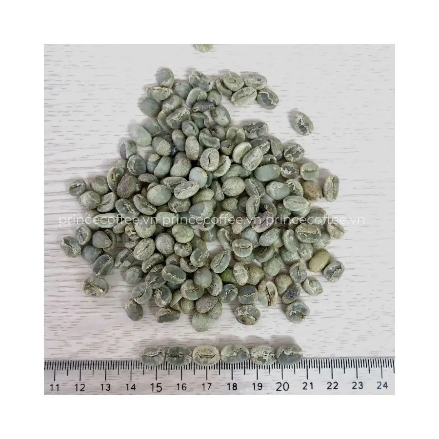 Вьетнамские кофейные зерна оптовая продажа Арабика робуста зеленые высококачественные сырые