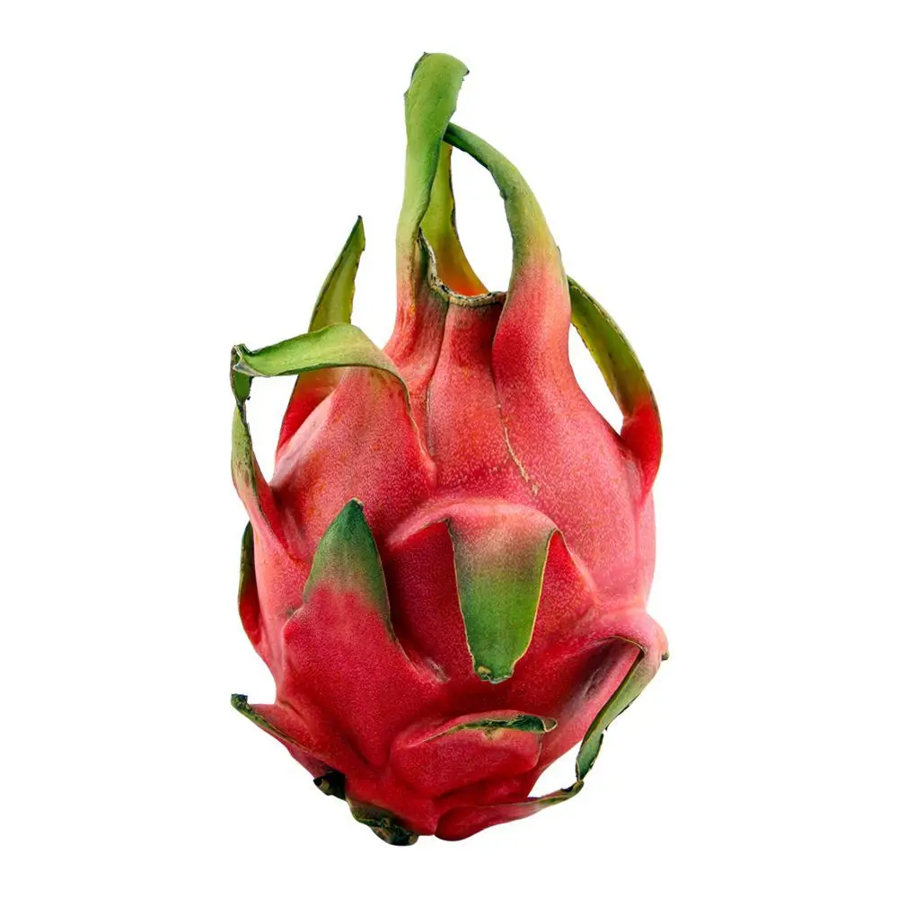 Wholesale Best Quality Fresh Dragon Fruit For Sale In Cheap Price