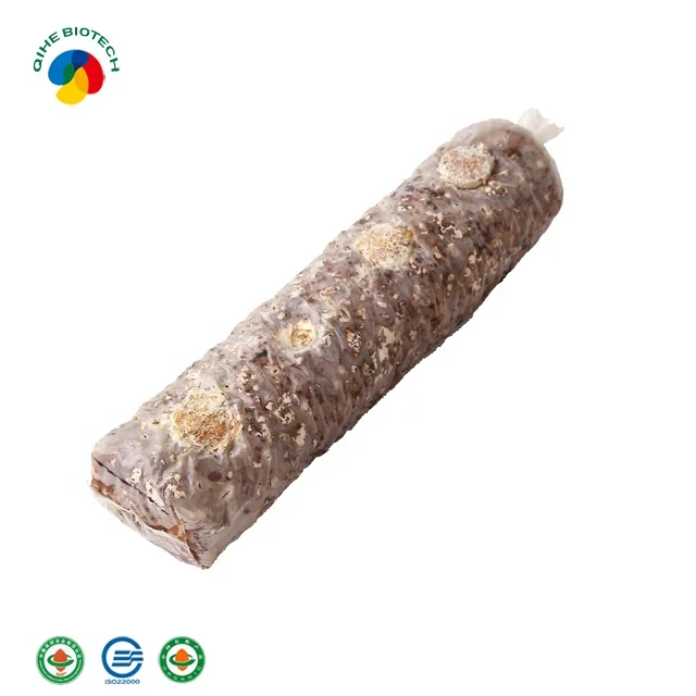 Organic  shiitake mushroom spawn grow bags kit  price supplier for export sawdust inoculation shiitake mushroom spores