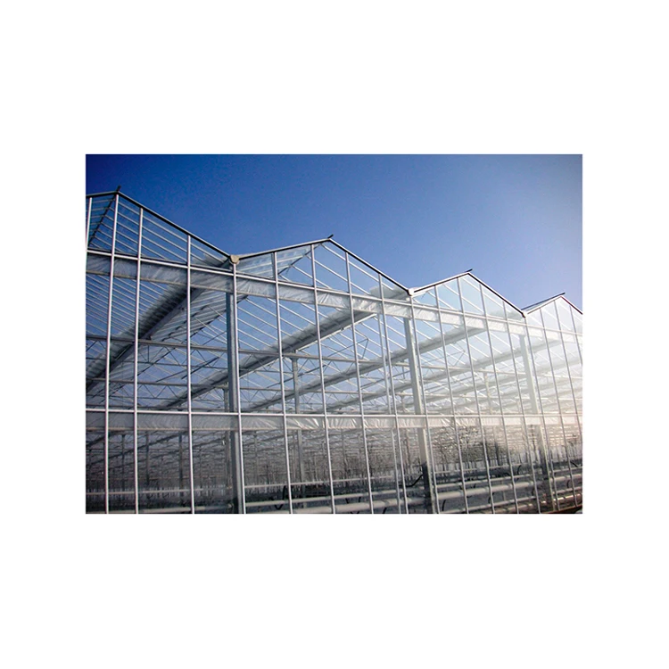 
High quality commercial glass greenhouses single-span greenhouses 