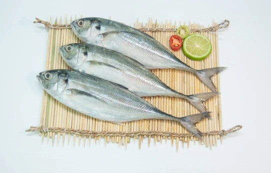 TOP SELLER FROZEN HORSE MACKEREL FROZEN SEAFOOD IQF Frozen Fish Food (Thai Lien Company, Ms Phuong: +84789196389)