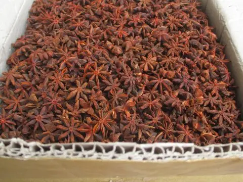 Star Anise, Top Product Natural Sun Dried Star Anise From Vietnam Export Agricultural Products