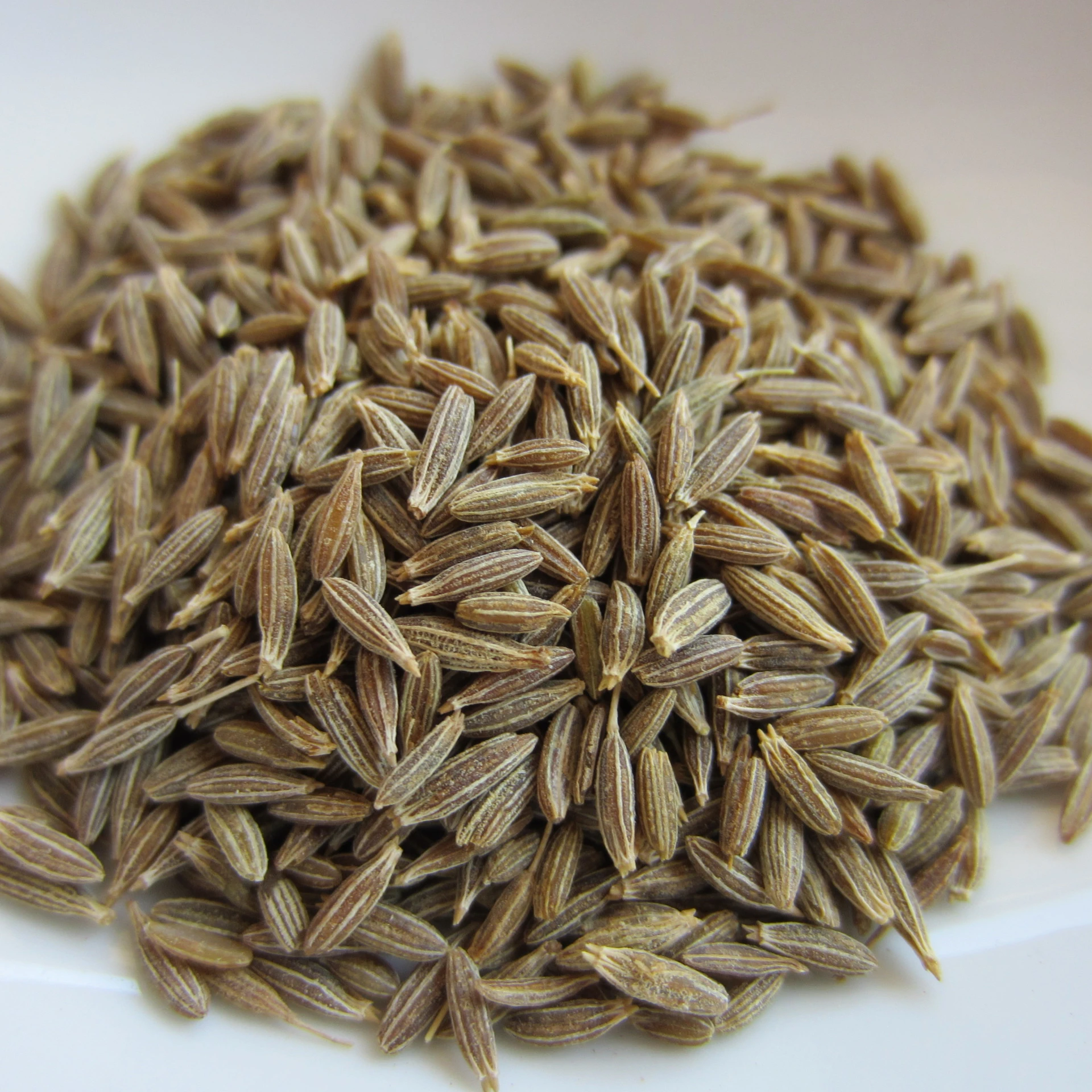 Premium quality cumin seeds at good price Nepal