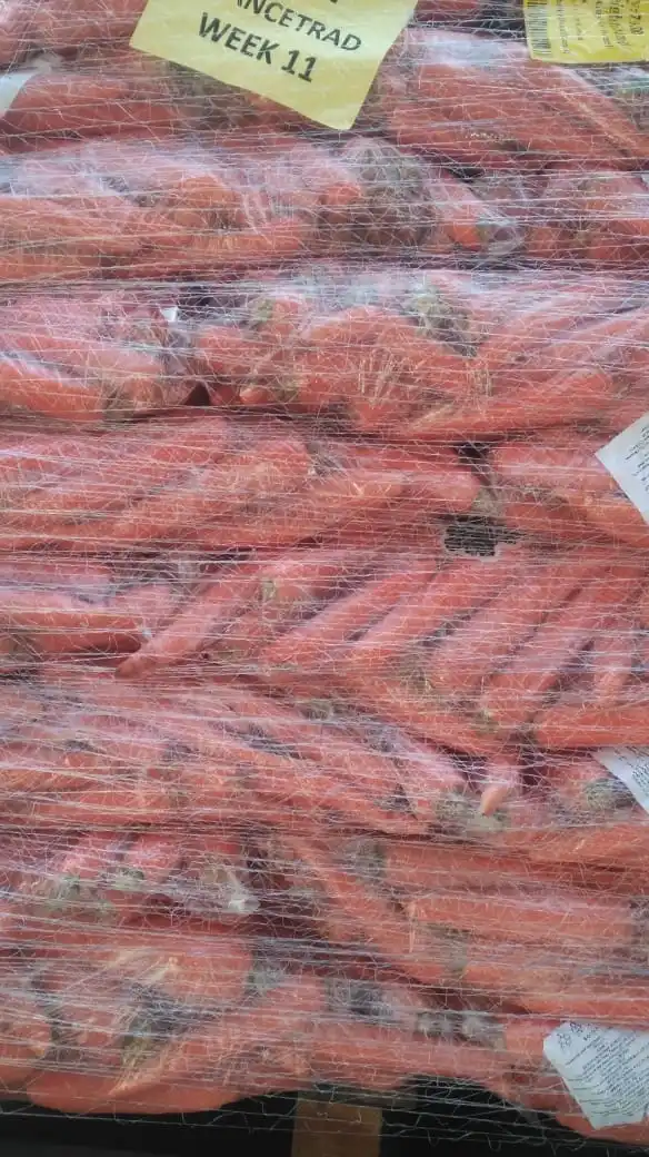 100% Natural Hot Selling Bulk Packing Fresh egyptian Carrot Orange Color BRC