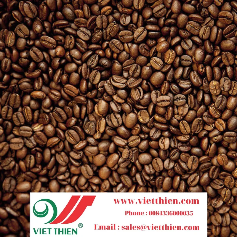 Кофе Арабика является ведущим популярным кофе в мире целом а во Вьетнаме частности имеет маленькие и низкие листья