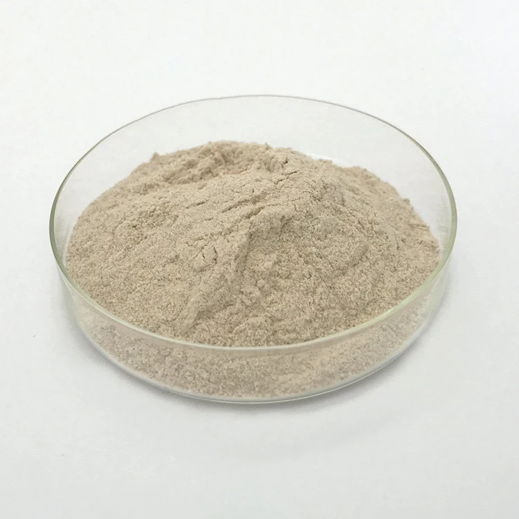 
Clostridium butyricum 