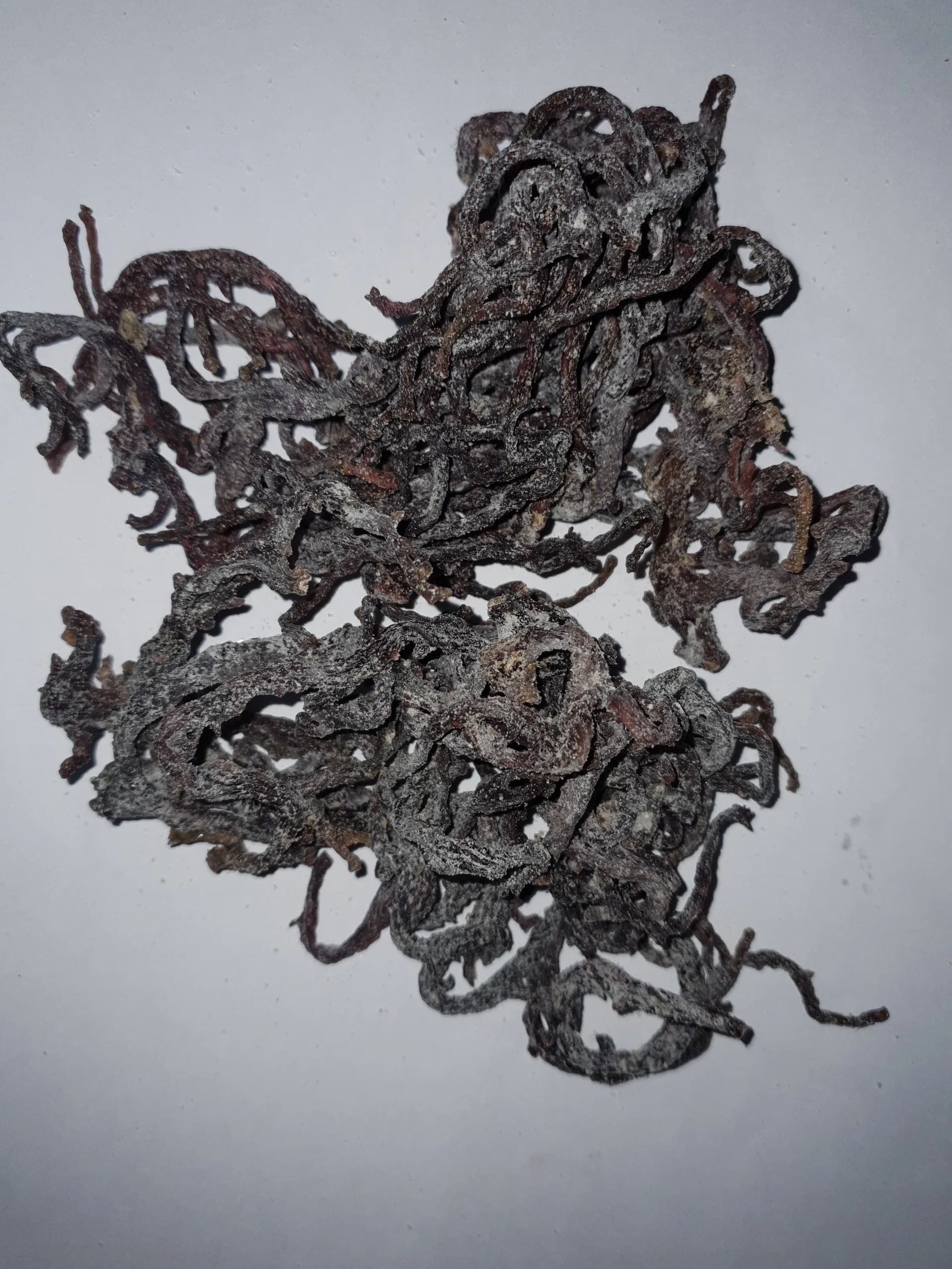 Wholesale DRIED EUCHEUMA COTTONII SEAWEED in Vietnam