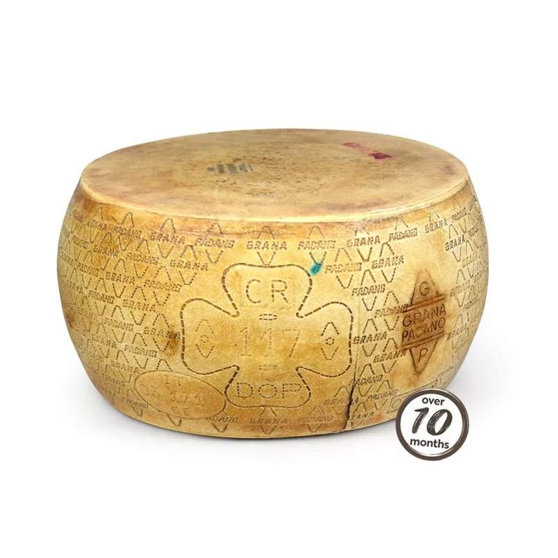 Best Quality Made in Italy Grana Padano PDO hard and tasty cheese aged over 10 months wheels For Sale