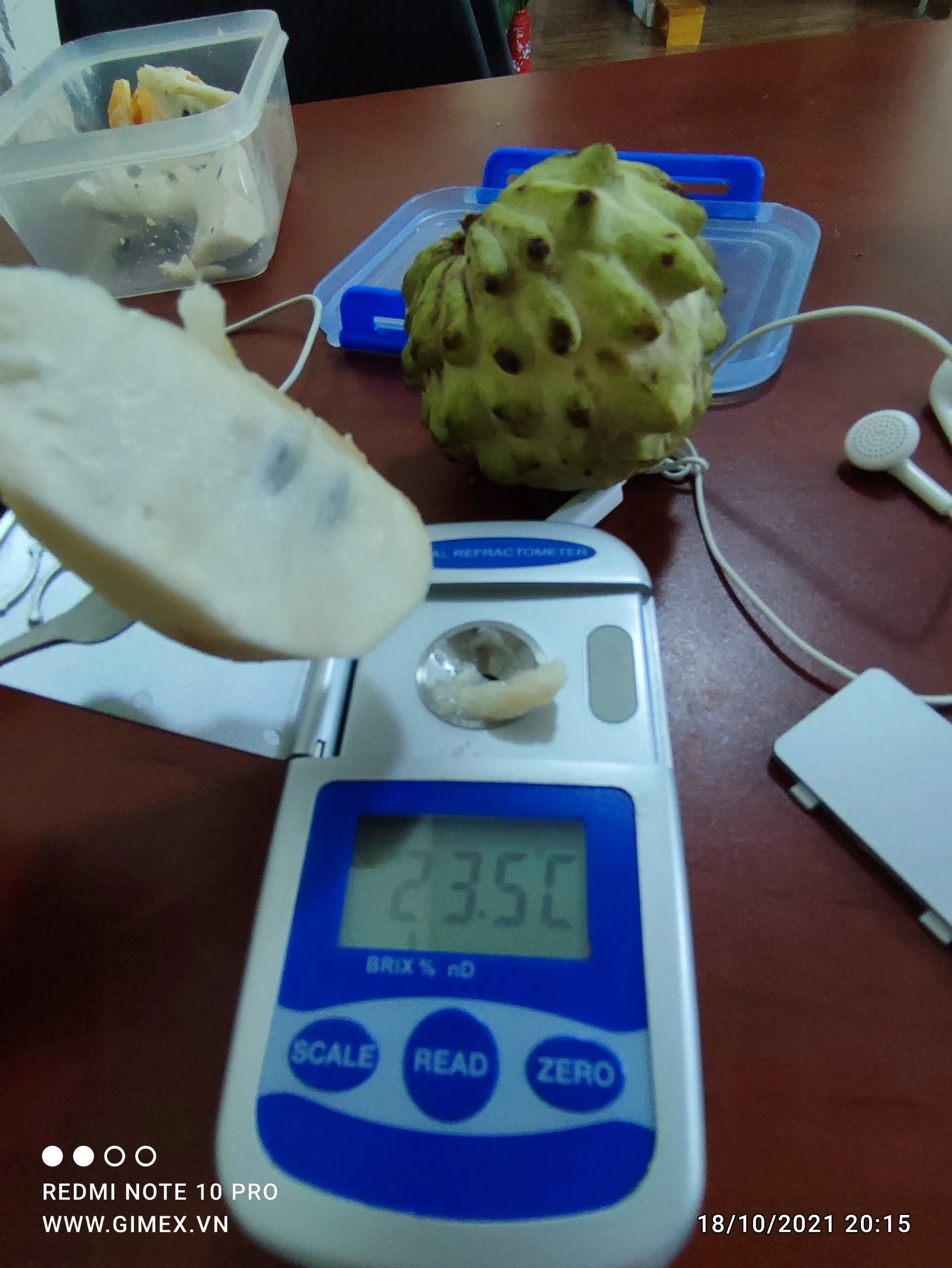 Оптовая цена, высокое качество, обычное культивирование, передовая технология ухода, натуральный сладкий крем яблоко