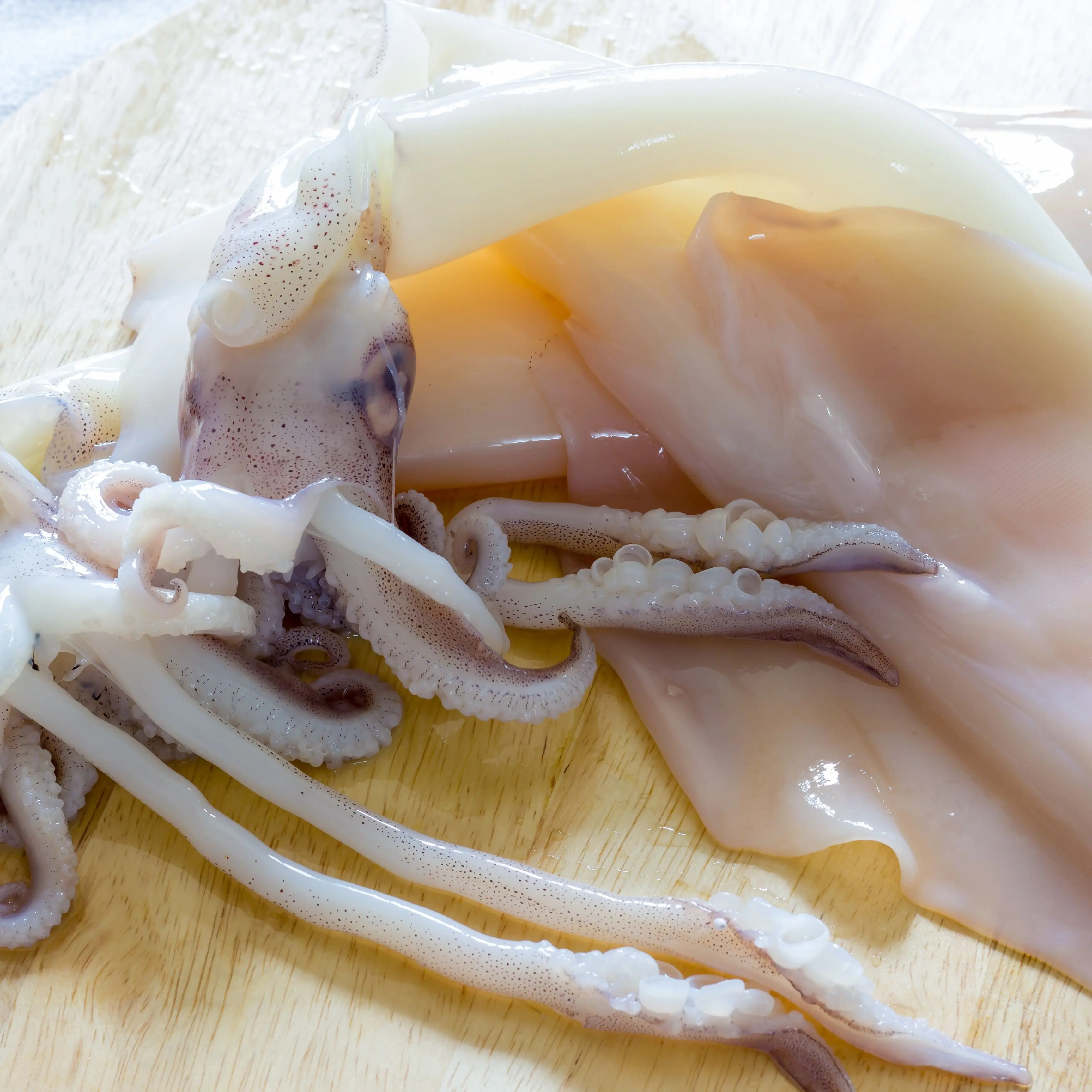 Frozen Seafood California Squid for Sale Good quality block frozen fresh squid cleaned seafood todarodes squid tube U8 U10 froze