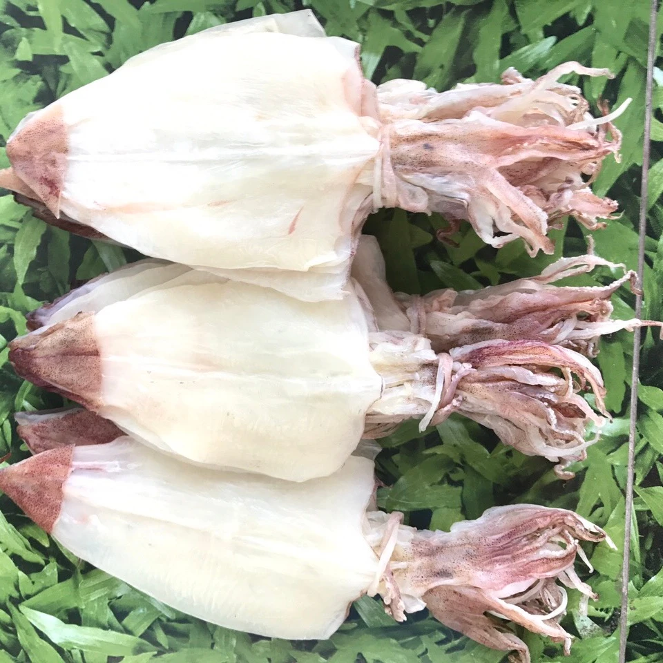 
Dried squid skinless 