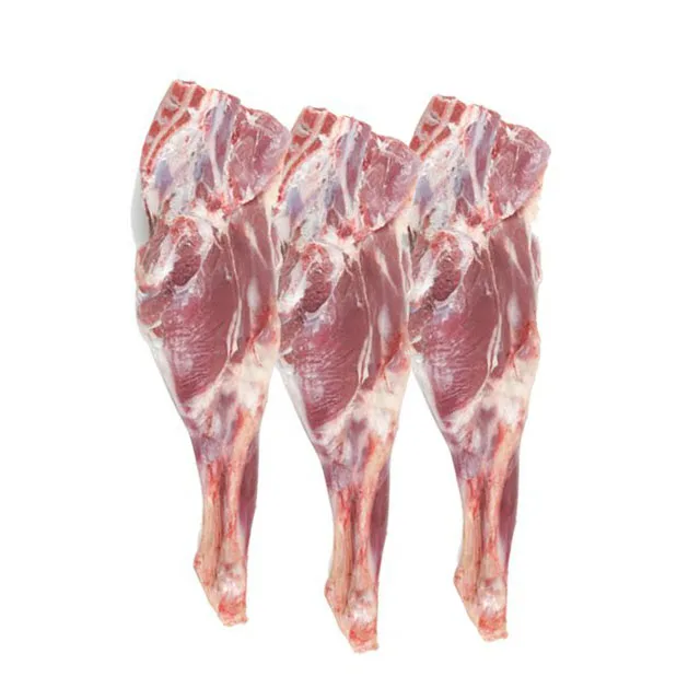 Top Quality Halal Fresh / Frozen Sheep / Goat / Lamb Meat / Carcass For Wholesale
