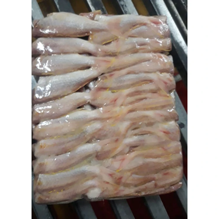 Frozen Golden Threadfin Sea Bream