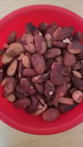 Cheap Price Wholesale Dried Jackfruit Seed For Sale In bulk